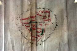 Cellarengo_cat_antico_0215